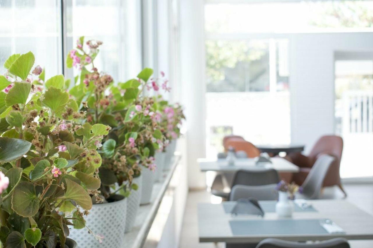 Anastasia Hotel & Apartments Кос Экстерьер фото